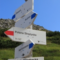 (40/157): Dolina Strążyska - Przełęcz w Grzybowcu 1311 m n.p.m. - Wyżnia Kondracka Przełęcz - Giewont 1894 m n.p.m. - Wyżnia Kondracka Przełęcz - Kondracka Przełęcz 1725 m n.p.m. - Kondracka Kopa 2005 m n.p.m. -  Kondracka Przełęcz 1725 m n.p.m. - Dolina Małej Łąki - Żelazna Droga - Dolina Strążyska 