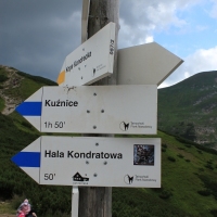 (121/157): Dolina Stryska - Przecz w Grzybowcu 1311 m n.p.m. - Wynia Kondracka Przecz - Giewont 1894 m n.p.m. - Wynia Kondracka Przecz - Kondracka Przecz 1725 m n.p.m. - Kondracka Kopa 2005 m n.p.m. -  Kondracka Przecz 1725 m n.p.m. - Dolina Maej ki - elazna Droga - Dolina Stryska 
