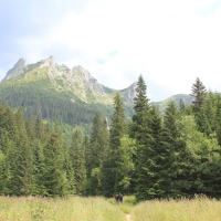 (149/157): Dolina Stryska - Przecz w Grzybowcu 1311 m n.p.m. - Wynia Kondracka Przecz - Giewont 1894 m n.p.m. - Wynia Kondracka Przecz - Kondracka Przecz 1725 m n.p.m. - Kondracka Kopa 2005 m n.p.m. -  Kondracka Przecz 1725 m n.p.m. - Dolina Maej ki - elazna Droga - Dolina Stryska 