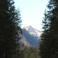 (4/158): Palenica Biaczaska - Dolina Roztoki - Kozi Wierch 2291 m n.p.m. - Dolina Piciu Staww Polskich - Dolina Roztoki - Palenica Biaczaska