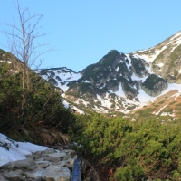 (13/158): Palenica Biaczaska - Dolina Roztoki - Kozi Wierch 2291 m n.p.m. - Dolina Piciu Staww Polskich - Dolina Roztoki - Palenica Biaczaska