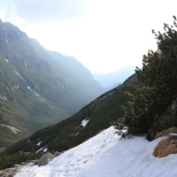 (21/158): Palenica Biaczaska - Dolina Roztoki - Kozi Wierch 2291 m n.p.m. - Dolina Piciu Staww Polskich - Dolina Roztoki - Palenica Biaczaska