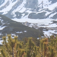 (29/158): Palenica Biaczaska - Dolina Roztoki - Kozi Wierch 2291 m n.p.m. - Dolina Piciu Staww Polskich - Dolina Roztoki - Palenica Biaczaska