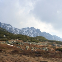(39/158): Palenica Biaczaska - Dolina Roztoki - Kozi Wierch 2291 m n.p.m. - Dolina Piciu Staww Polskich - Dolina Roztoki - Palenica Biaczaska