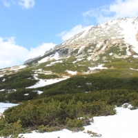 (138/158): Palenica Biaczaska - Dolina Roztoki - Kozi Wierch 2291 m n.p.m. - Dolina Piciu Staww Polskich - Dolina Roztoki - Palenica Biaczaska