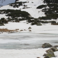 (142/158): Palenica Biaczaska - Dolina Roztoki - Kozi Wierch 2291 m n.p.m. - Dolina Piciu Staww Polskich - Dolina Roztoki - Palenica Biaczaska