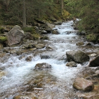 (155/158): Palenica Biaczaska - Dolina Roztoki - Kozi Wierch 2291 m n.p.m. - Dolina Piciu Staww Polskich - Dolina Roztoki - Palenica Biaczaska
