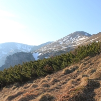 (23/204): Kiry - Dolina Kocieliska - Chuda Przeczka 1850 m n.p.m. - Ciemniak 2096 m n.p.m. - Krzesanica 2122 m n.p.m. - Maoczniak 2096 m n.p.m. - Przysop Mitusi 1189 m n.p.m. - Dolina Kocieliska - Kiry