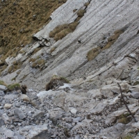 (178/204): Kiry - Dolina Kocieliska - Chuda Przeczka 1850 m n.p.m. - Ciemniak 2096 m n.p.m. - Krzesanica 2122 m n.p.m. - Maoczniak 2096 m n.p.m. - Przysop Mitusi 1189 m n.p.m. - Dolina Kocieliska - Kiry