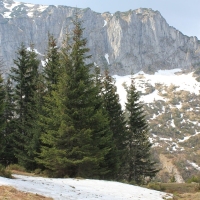 (188/204): Kiry - Dolina Kocieliska - Chuda Przeczka 1850 m n.p.m. - Ciemniak 2096 m n.p.m. - Krzesanica 2122 m n.p.m. - Maoczniak 2096 m n.p.m. - Przysop Mitusi 1189 m n.p.m. - Dolina Kocieliska - Kiry