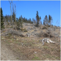 (17/63): Rycerka - Przegibek - Bendoszka Wielka - Przegibek - Rycerka 30.03.2014r.