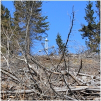 (22/63): Rycerka - Przegibek - Bendoszka Wielka - Przegibek - Rycerka 30.03.2014r.