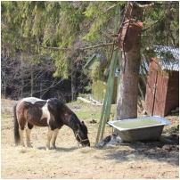 (52/63): Rycerka - Przegibek - Bendoszka Wielka - Przegibek - Rycerka 30.03.2014r.