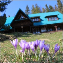 (58/63): Rycerka - Przegibek - Bendoszka Wielka - Przegibek - Rycerka 30.03.2014r.